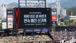 한국 야구, 역사상 가장 뜨거운 해를 기록하다