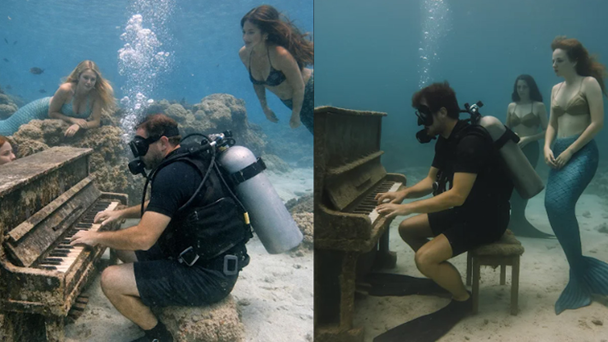 39db6b2263c280412a8e6764b61c59fd_1766020052_5635.jpg 39db6b2263c280412a8e6764b61c59fd_1766020052_5635.jpg