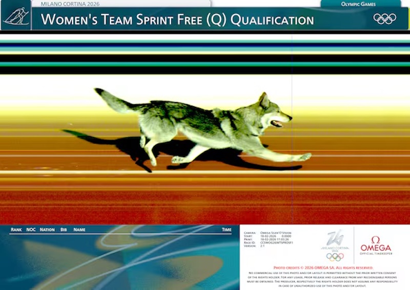 b29c033ffd85c02ded1a4ed73da6851d_1771810503_3115.jpeg b29c033ffd85c02ded1a4ed73da6851d_1771810503_3115.jpeg